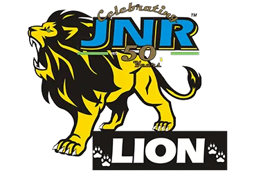view lion