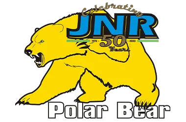 view polar bear
